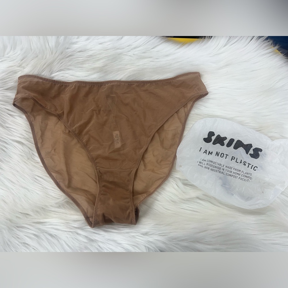 SKIMS NEW Mesh Cheeky Brief PN-HCT-0241 Sienna Panty Size 3X
